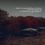 دانلود آهنگ تنهایی تو جنگل سرسبز مه آلود دانلود آهنگ تنهایی تو جنگل سرسبز مه آلود